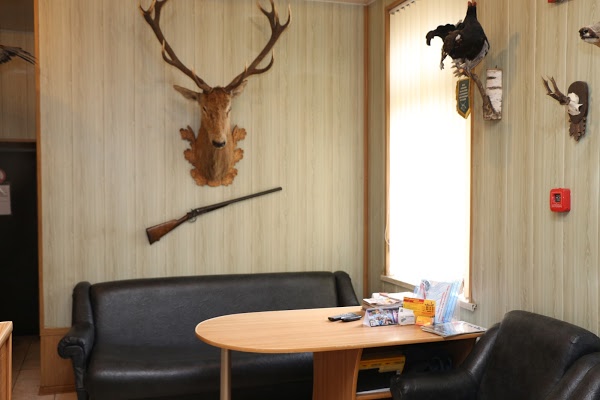 Рим, Колизей